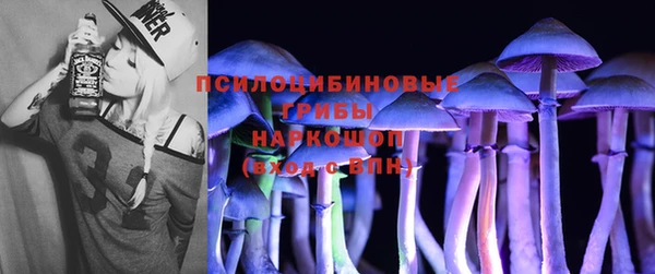 соль ск Горно-Алтайск