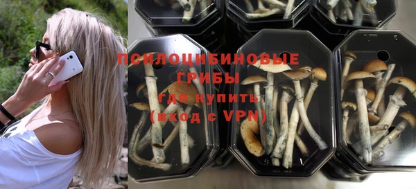 мдпв Горняк