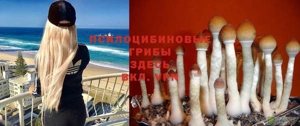 мдпв Горняк